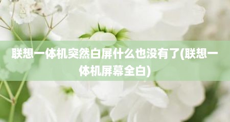 联想一体机突然白屏什么也没有了(联想一体机屏幕全白)