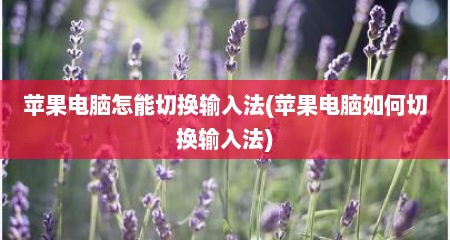 苹果电脑怎能切换输入法(苹果电脑如何切换输入法)