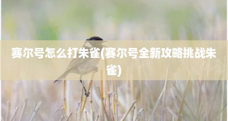 赛尔号怎么打朱雀(赛尔号全新攻略挑战朱雀)