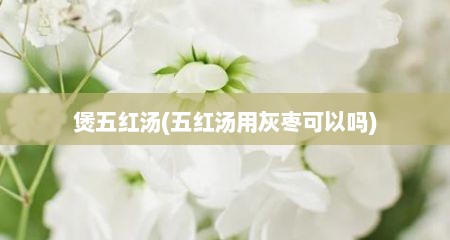 煲五红汤(五红汤用灰枣可以吗)