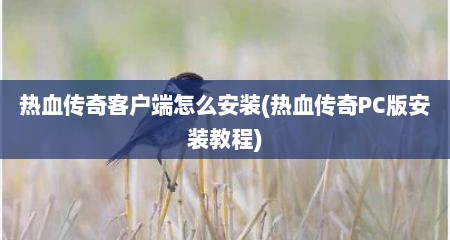 热血传奇客户端怎么安装(热血传奇PC版安装教程)