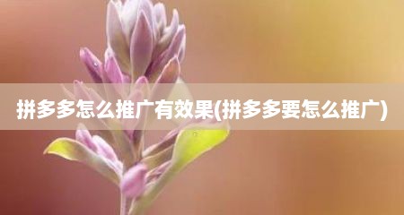 拼多多怎么推广有效果(拼多多要怎么推广)