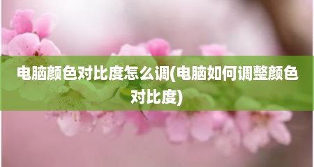 电脑颜色对比度怎么调(电脑如何调整颜色对比度)