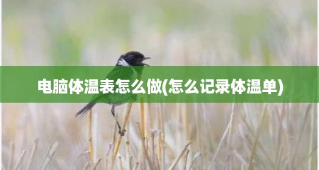 电脑体温表怎么做(怎么记录体温单)