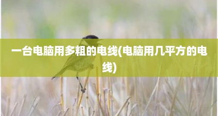 一台电脑用多粗的电线(电脑用几平方的电线)