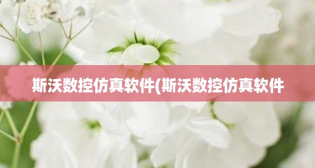 斯沃数控仿真软件(斯沃数控仿真软件