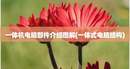 一体机电脑部件介绍图解(一体式电脑结构)