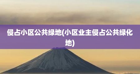 侵占小区公共绿地(小区业主侵占公共绿化地)