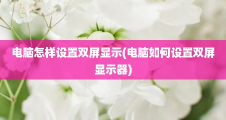 电脑怎样设置双屏显示(电脑如何设置双屏显示器)