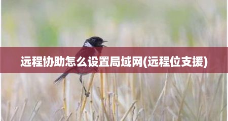 远程协助怎么设置局域网(远程位支援)