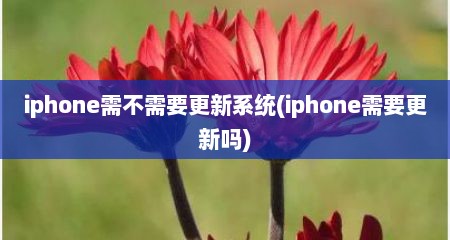 iphone需不需要更新系统(iphone需要更新吗)