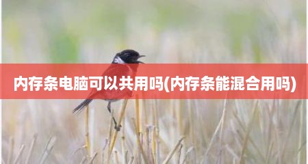 内存条电脑可以共用吗(内存条能混合用吗)