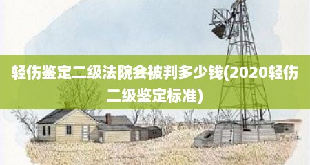 轻伤鉴定二级法院会被判多少钱(2020轻伤二级鉴定标准)