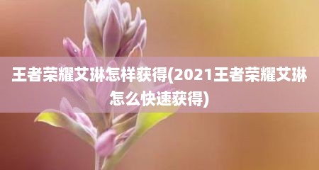 王者荣耀艾琳怎样获得(2021王者荣耀艾琳怎么快速获得)