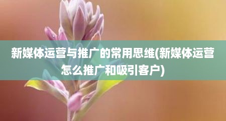 新媒体运营与推广的常用思维(新媒体运营怎么推广和吸引客户)