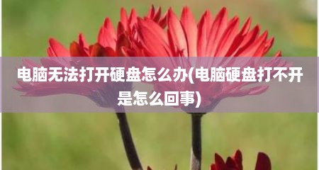 电脑无法打开硬盘怎么办(电脑硬盘打不开是怎么回事)