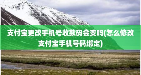 支付宝更改手机号收款码会变吗(怎么修改支付宝手机号码绑定)