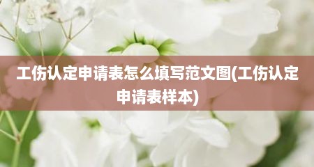 工伤认定申请表怎么填写范文图(工伤认定申请表样本)