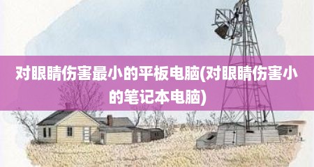 对眼睛伤害最小的平板电脑(对眼睛伤害小的笔记本电脑)