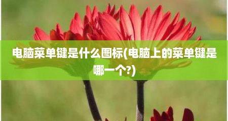 电脑菜单键是什么图标(电脑上的菜单键是哪一个?)