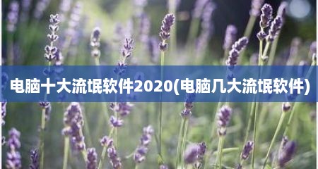 电脑十大流氓软件2020(电脑几大流氓软件)