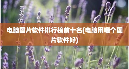 电脑图片软件排行榜前十名(电脑用哪个图片软件好)