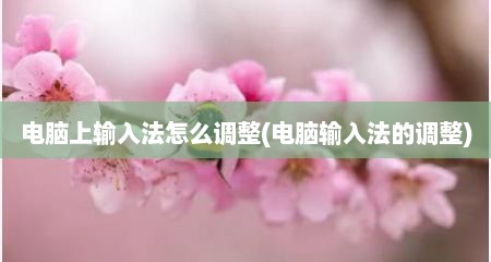 电脑上输入法怎么调整(电脑输入法的调整)