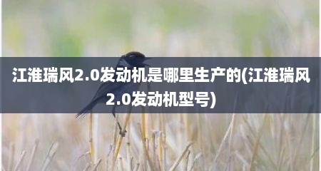 江淮瑞风2.0发动机是哪里生产的(江淮瑞风2.0发动机型号)