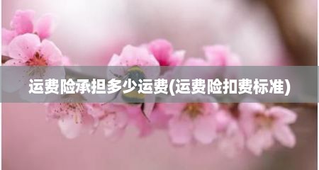 运费险承担多少运费(运费险扣费标准)