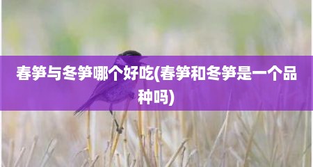 春笋与冬笋哪个好吃(春笋和冬笋是一个品种吗)