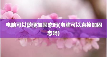 电脑可以随便加固态吗(电脑可以直接加固态吗)