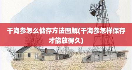 干海参怎么储存方法图解(干海参怎样保存才能放得久)