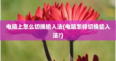 电脑上怎么切换输入法(电脑怎样切换输入法?)