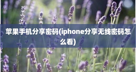 苹果手机分享密码(iphone分享无线密码怎么看)