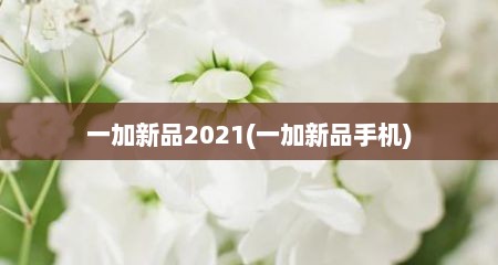 一加新品2021(一加新品手机)