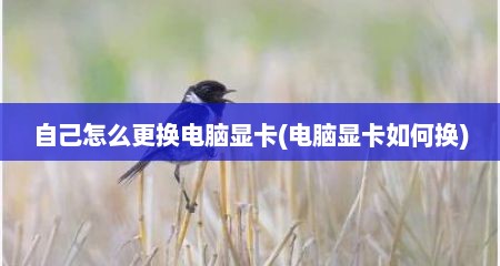 自己怎么更换电脑显卡(电脑显卡如何换)