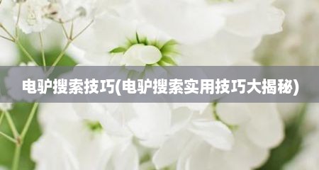 电驴搜索技巧(电驴搜索实用技巧大揭秘)