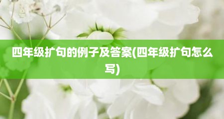 四年级扩句的例子及答案(四年级扩句怎么写)