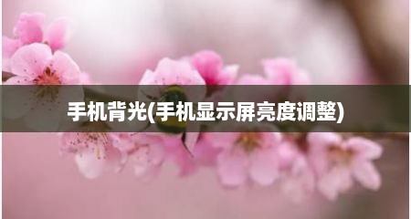 手机背光(手机显示屏亮度调整)