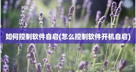 如何控制软件自启(怎么控制软件开机自启)