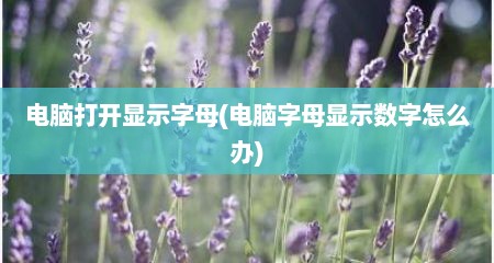 电脑打开显示字母(电脑字母显示数字怎么办)