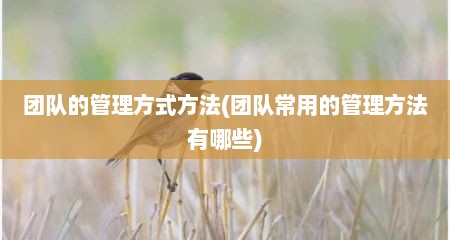 团队的管理方式方法(团队常用的管理方法有哪些)