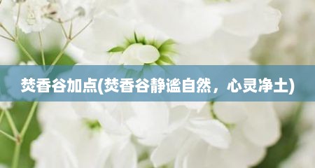 焚香谷加点(焚香谷静谧自然，心灵净土)