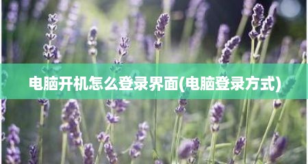 电脑开机怎么登录界面(电脑登录方式)