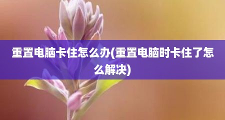 重置电脑卡住怎么办(重置电脑时卡住了怎么解决)