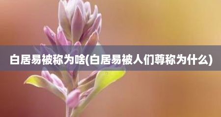 白居易被称为啥(白居易被人们尊称为什么)