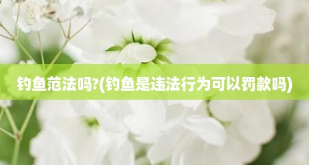 钓鱼范法吗?(钓鱼是违法行为可以罚款吗)