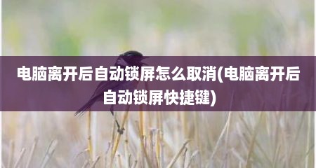 电脑离开后自动锁屏怎么取消(电脑离开后自动锁屏快捷键)