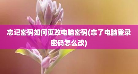 忘记密码如何更改电脑密码(忘了电脑登录密码怎么改)