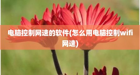 电脑控制网速的软件(怎么用电脑控制wifi网速)